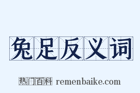 兔足反义词是什么意思的图片